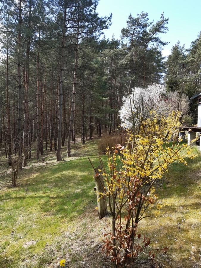 Вілла Lesna Polana Ґужно Екстер'єр фото